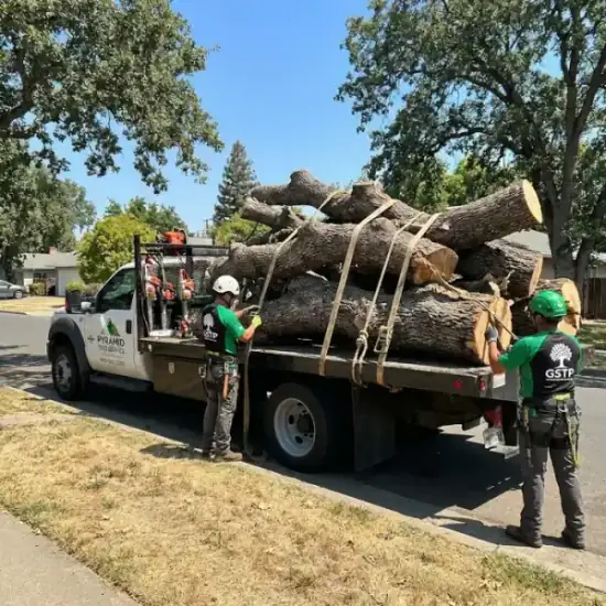 Tree service truck loaded with branches after a Orlando job